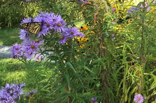 260 Coombs Rd, Brunswick, ME 04011 - Photo 11