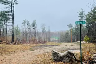 37 Alpine Dr, Porter, ME 04068 - Photo 17