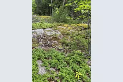 44A Trott Road Road, Woolwich, ME 04579 - Photo 9