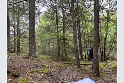 44A Trott Road Road, Woolwich, ME 04579 - Photo 13