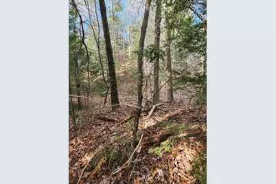 86 Oak Hill Road, Belfast, ME 04915 - Photo 5