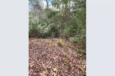 86 Oak Hill Road, Belfast, ME 04915 - Photo 3