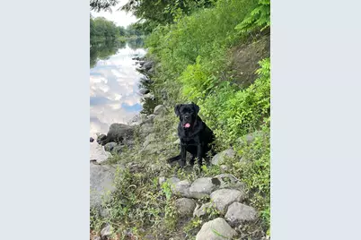 Tbd Spruce Drive, Anson, ME 04911 - Photo 9