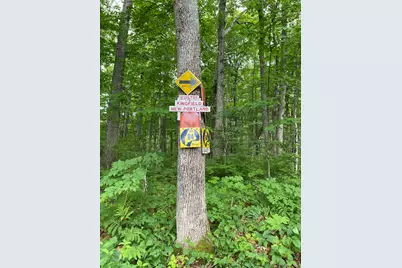 Tbd Spruce Drive, Anson, ME 04911 - Photo 7