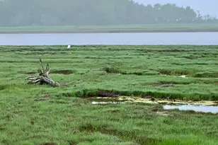 361 Water St, Addison, ME 04606 - Photo 71