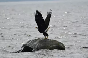 107 Shady Ln, Newport, ME 04953 - Photo 17