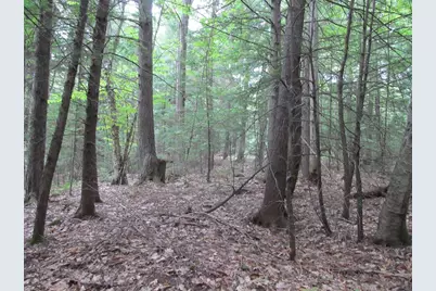 27.9 Cummings Lane, Oxford, ME 04270 - Photo 47