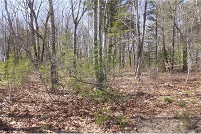 Lot 1C Main Street / Rte 109, Sanford, ME 04073 - Photo 3