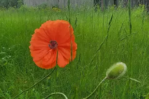 17 Otter Creek Dr, Mount Desert, ME 04660 - Photo 41