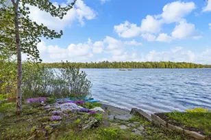 95 Silsby Rd, Mariaville, ME 04605 - Photo 49