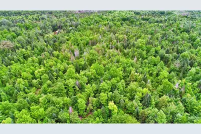 823 US Rt 1, Amity, ME 04471 - Photo 27