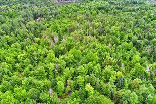 823 US Rt 1, Amity, ME 04471 - Photo 27