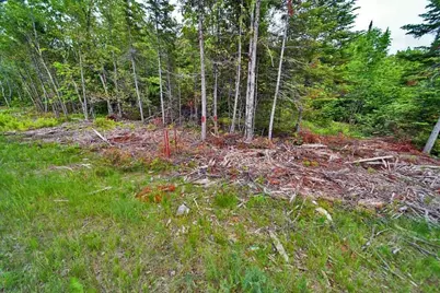 823 US Rt 1, Amity, ME 04471 - Photo 29