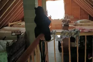 Lot # 16 2 Ln Pond Rd, Carrying Place Town Twp, ME 04961 - Photo 29