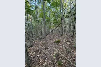 500 Cosgrove Drive, Otis, ME 04605 - Photo 13