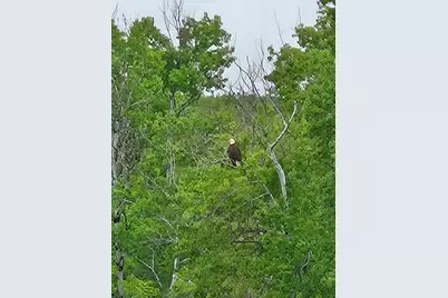 13 South Brook Lane, Eagle Lake, ME 04739 - Photo 41