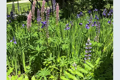 8 Sterling Street, Ellsworth, ME 04605 - Photo 59