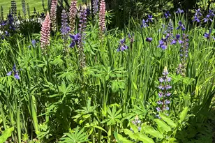 8 Sterling St, Ellsworth, ME 04605 - Photo 59