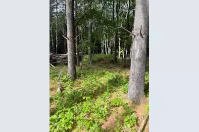 0 Tuttle Lane, Bridgton, ME 04009 - Photo 5