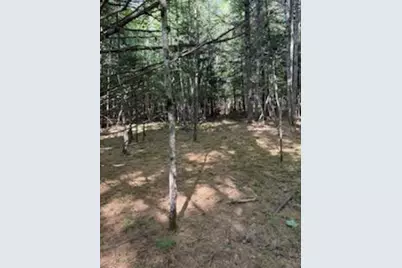0 Tuttle Lane, Bridgton, ME 04009 - Photo 21