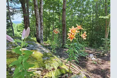 71 Mountain View Drive, Hartford, ME 04220 - Photo 61