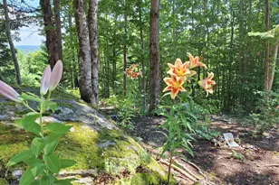 71 Mountain View Dr, Hartford, ME 04220 - Photo 61