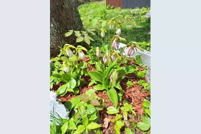 71 Mountain View Drive, Hartford, ME 04220 - Photo 57