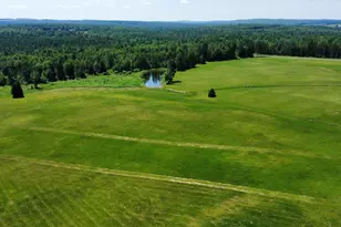 325 W Rd, New Sweden, ME 04762 - Photo 55