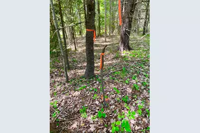 142 Seal Cove Road, Southwest Harbor, ME 04679 - Photo 3