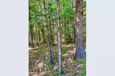 142 Seal Cove Road, Southwest Harbor, ME 04679 - Photo 5