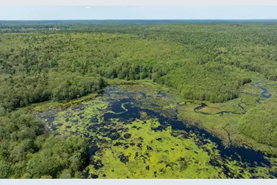 Lot 46 Carl Bailey, Bristol, ME 04539 - Photo 3