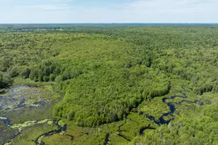 Lot 46 Carl Bailey, Bristol, ME 04539 - Photo 1