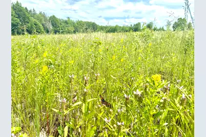 L1,4,9,11 Martins Ridge Road, Franklin, ME 04634 - Photo 31