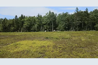 Map13Lot9 Martins Ridge Road, Franklin, ME 04634 - Photo 11