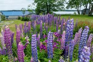 151 Water St, Eastport, ME 04631 - Photo 37