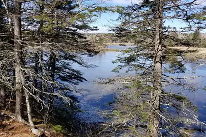 9 River Road #Lot 3, Brooklin, ME 04616 - Photo 3