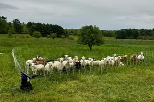 93 Cushnoc Rd, Vassalboro, ME 04989 - Photo 7