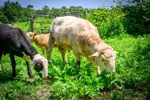 93 Cushnoc Rd, Vassalboro, ME 04989 - Photo 45