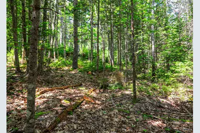 Lot 3 Belle Grande Drive, Bar Harbor, ME 04609 - Photo 5