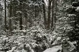 325 Calderwood Rd, Washington, ME 04574 - Photo 7