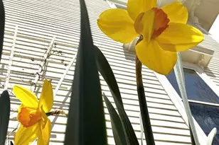 10 Church St, Stockton Springs, ME 04981 - Photo 45