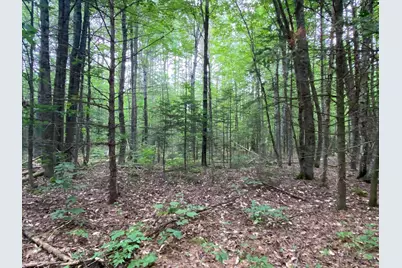 Lot# 17 Guilford Center Road, Guilford, ME 04443 - Photo 11