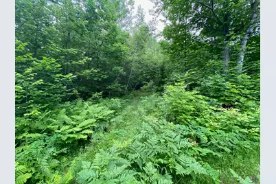 Lot# 17 Guilford Center Road, Guilford, ME 04443 - Photo 5