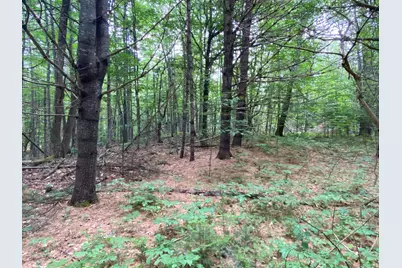 Lot# 17 Guilford Center Road, Guilford, ME 04443 - Photo 13