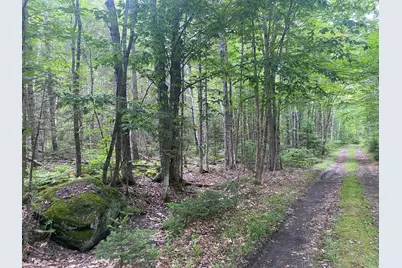 Lot# 17 Guilford Center Road, Guilford, ME 04443 - Photo 19