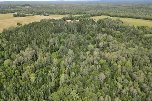 151 Schooland Rd, New Sweden, ME 04762 - Photo 25