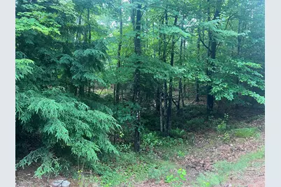 Lot #1 Intervale Road, Bethel, ME 04217 - Photo 1