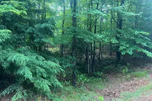 Lot #1 Intervale Rd, Bethel, ME 04217 - Photo 1