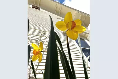 10 Church Street, Stockton Springs, ME 04981 - Photo 59