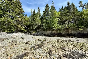 69 Jim's Head Rd, Lubec, ME 04652 - Photo 45